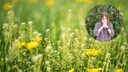 Hypnosetherapie Allergie: Heuschnupfen