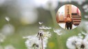 Allergie Hypnose: Hypnose gegen Pollenallergie