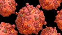 Affenpocken (Virus als Computerillustration)