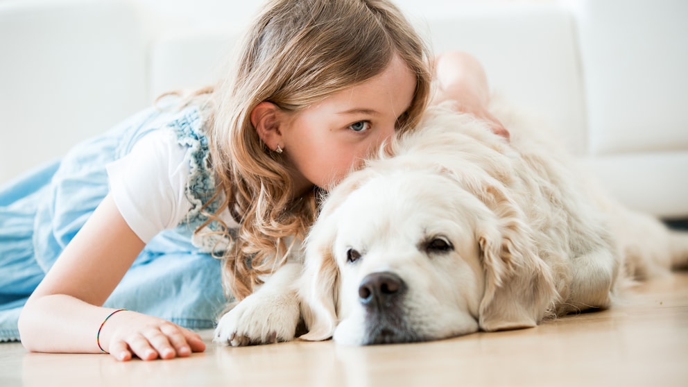 Wer als Kind mit einem Hund aufwächst, hat später im Leben ein geringeres Risiko, an Morbus Crohn zu erkranken