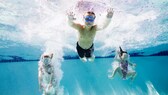 kinder schwimmen: Kinder im Schwimmbecken