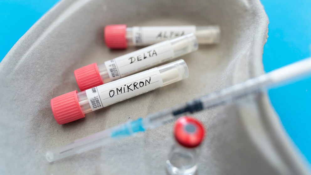 corona impfstoffe omikron: Impf-Schale