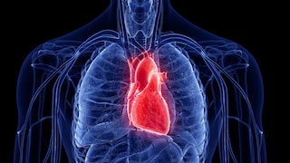 Corona-Impfung Herzmuskelentzündung grund: Illustration eines Herzen