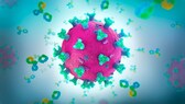 Illustration Coronavirus wird von Antikörpern attackiert