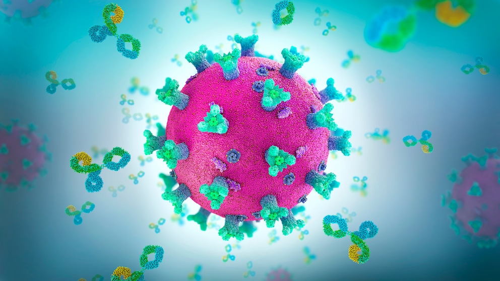 Illustration Coronavirus wird von Antikörpern attackiert