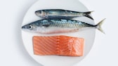 Lachs, Makrele, Sardine