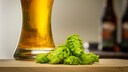 hopfen alzheimer: Bier und Hopfenpflanze