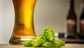 hopfen alzheimer: Bier und Hopfenpflanze