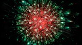 Virus im Kaleidoskop (Animation)