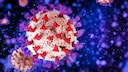 coronavariante XBB 1.5: Coronavirus-Molekül