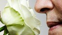 geruchssinn gesundheit: Frau riecht an einer Rose