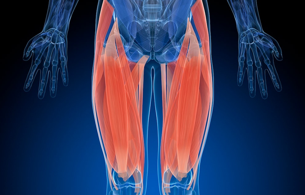 Лечение частичного разрыва мышц. Отрыв сухожилия четырехглавой мышцы бедра. Тендинопатия сухожилия четырехглавой мышцы бедра.