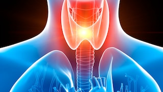 Morbus Basedow: Illustration der Schilddrüse