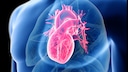 Der Effekt einer Coronainfektion auf die Herzgesundheit