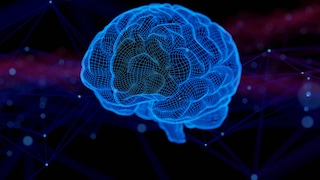 frühsymptome parkinson: Bild eines menschlichen Gehirns