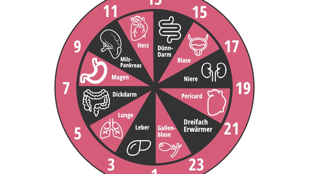 Organuhr; organische Uhr