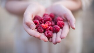 Himbeeren als Schmerzmittel-Ersatz: Funktioniert das?
