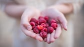 Himbeeren als Schmerzmittel-Ersatz: Funktioniert das?