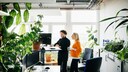 Pflanze Gehirn: Zwei Arbeitskollegen in einem Büro