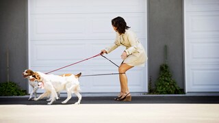 Frau mit um die Beine gewickelte Leine beim Gassigehen