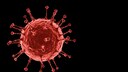 arcturus symptom: Illustration Coronavirus