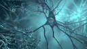 atem&uuml;bung alzheimer: Illustration von Nervenzellen eines Alzheimer-Patienten
