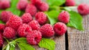 Gesunde Himbeeren