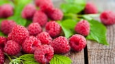 Gesunde Himbeeren