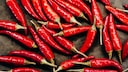 scharfes Essen Magenkrebs: Chili