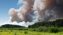waldbrand rauch gesundheit: Waldbrand in Deutschland
