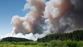 waldbrand rauch gesundheit: Waldbrand in Deutschland