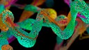 Aminos&auml;uren: Illustration eines Proteins