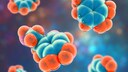 Hormone und ihre Wirkung im Körper