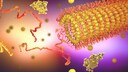 Peptide: Illustration eines Proteins
