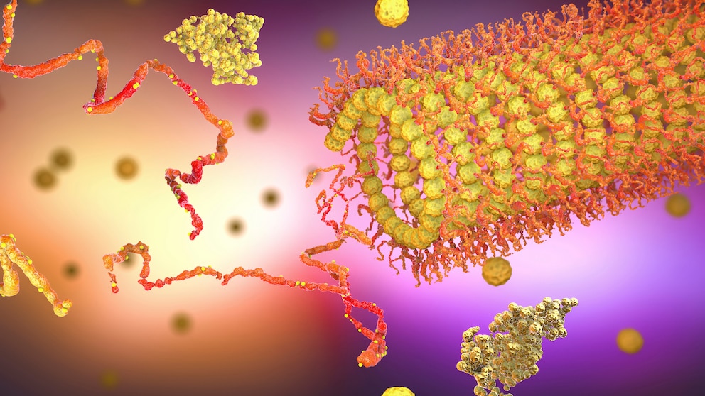 Peptide: Illustration eines Proteins