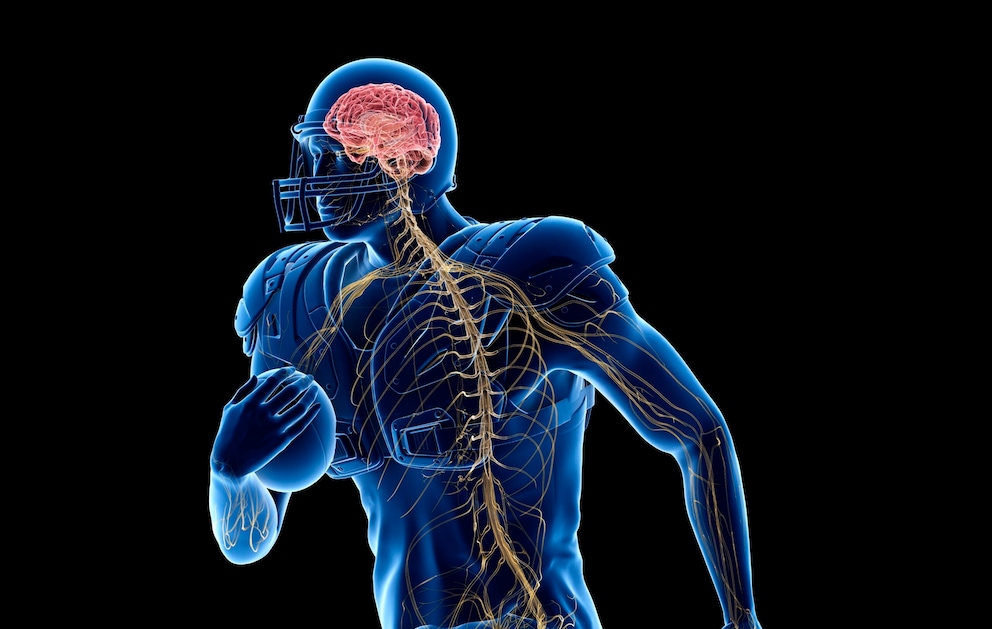 Studie zeigt hohe Fallzahlen von CTE bei jungen Kontaktsportlern FITBOOK