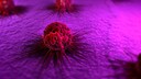 thymus krebs: Krebszelle