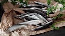 welchen Fisch essen