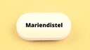 Mariendistel: Symbolbild