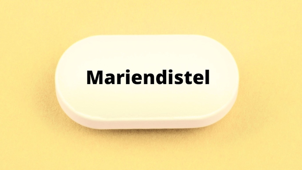 Mariendistel: Symbolbild