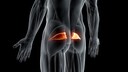 Piriformis-Syndrom – Symptome, Ursachen, Therapie