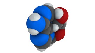 Purine
