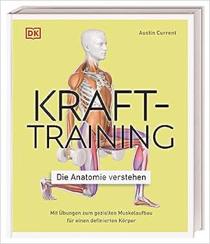 Krafttraining – Die Anatomie verstehen