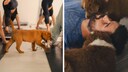 Puppy Yoga München