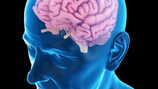 Begünstigt Corona Alzheimer?