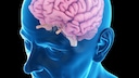 Begünstigt Corona Alzheimer?