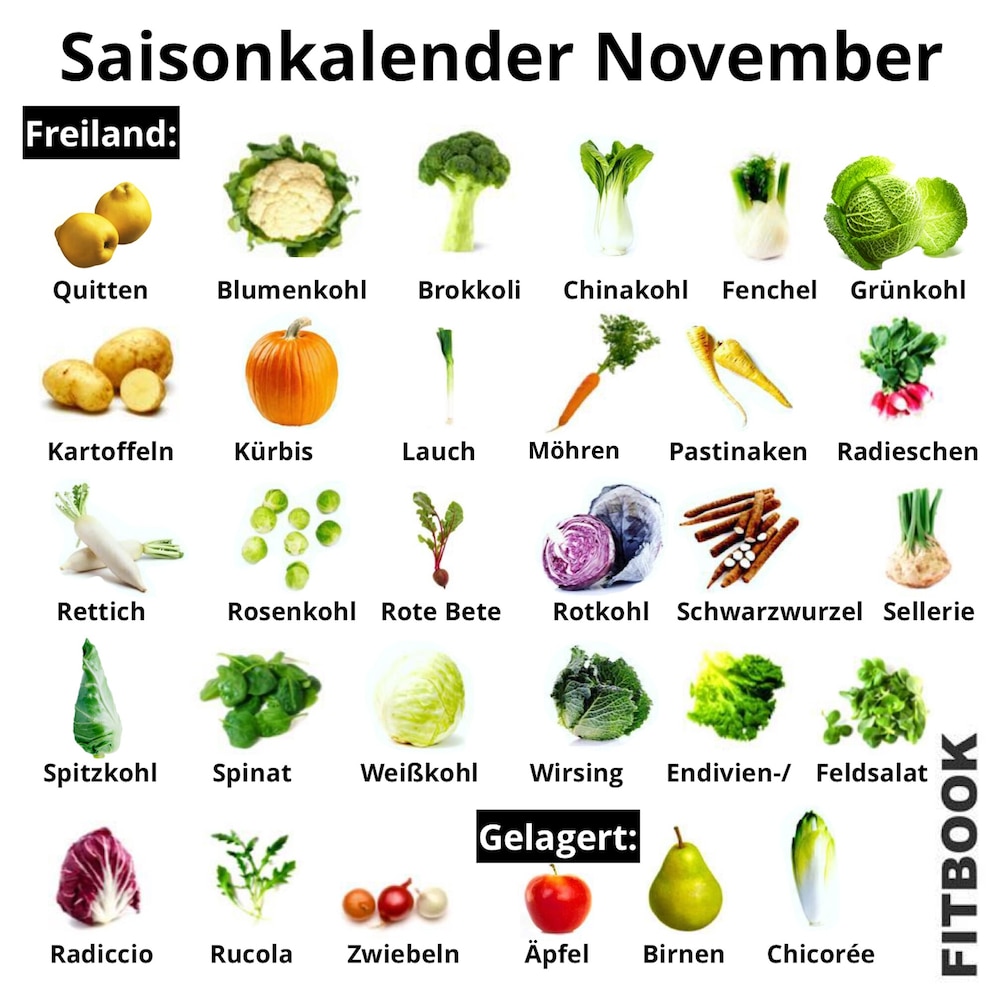 Saisonkalender November