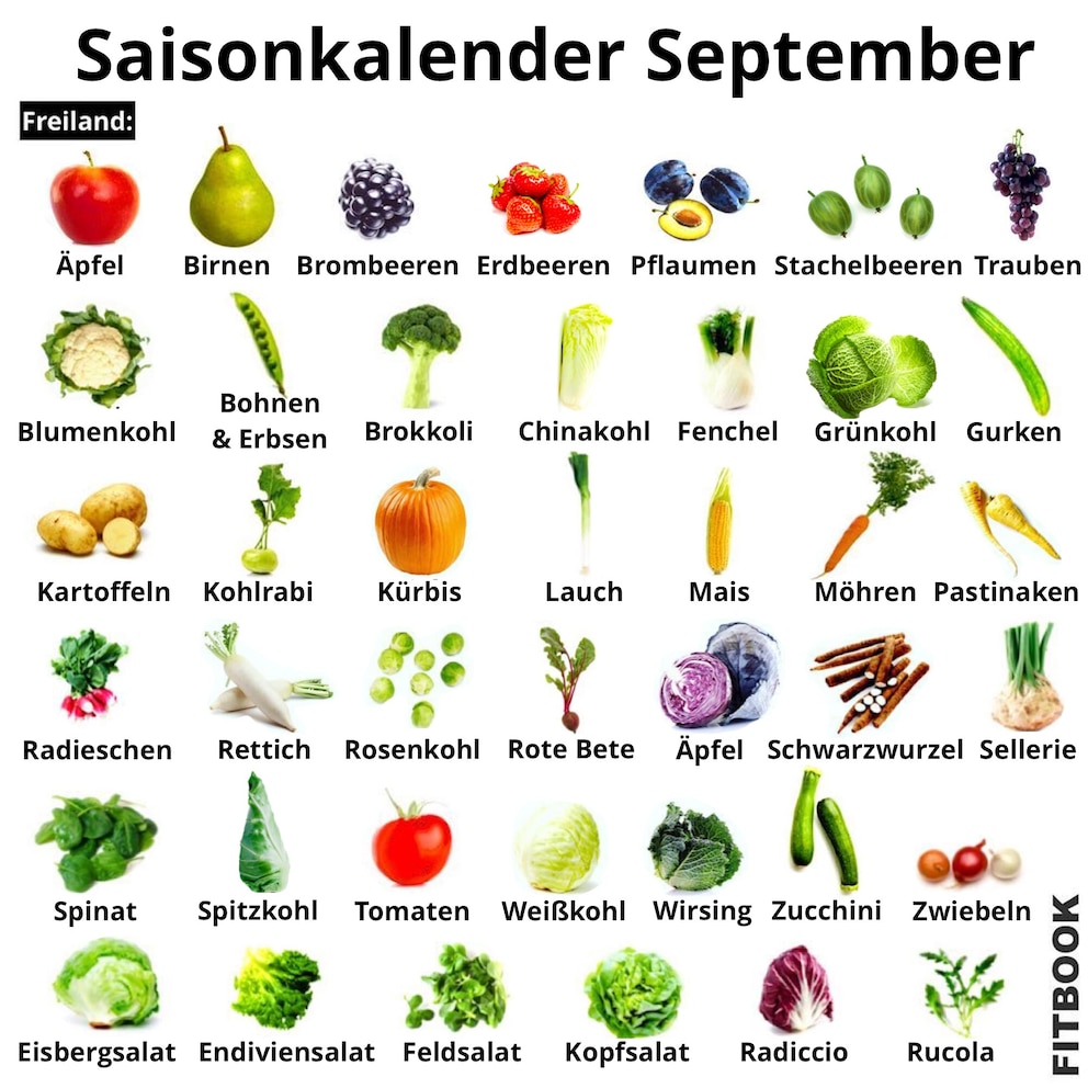 Saisonkalender September