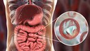 Parasiten sorgen f&uuml;r Durchfall-Welle in Gro&szlig;britannien &ndash; droht das nun auch Deutschland?