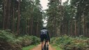 Gravel Bike kaufen